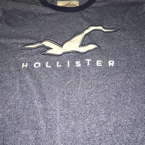 Hollister Blue T Shirt